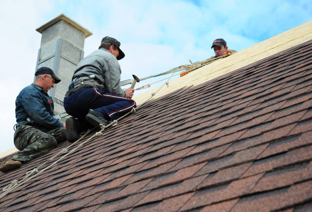 Best Roof Restoration Services  in Knollwood, IL